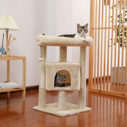 Arbre à chat de 72 cm pour chats d'intérieur