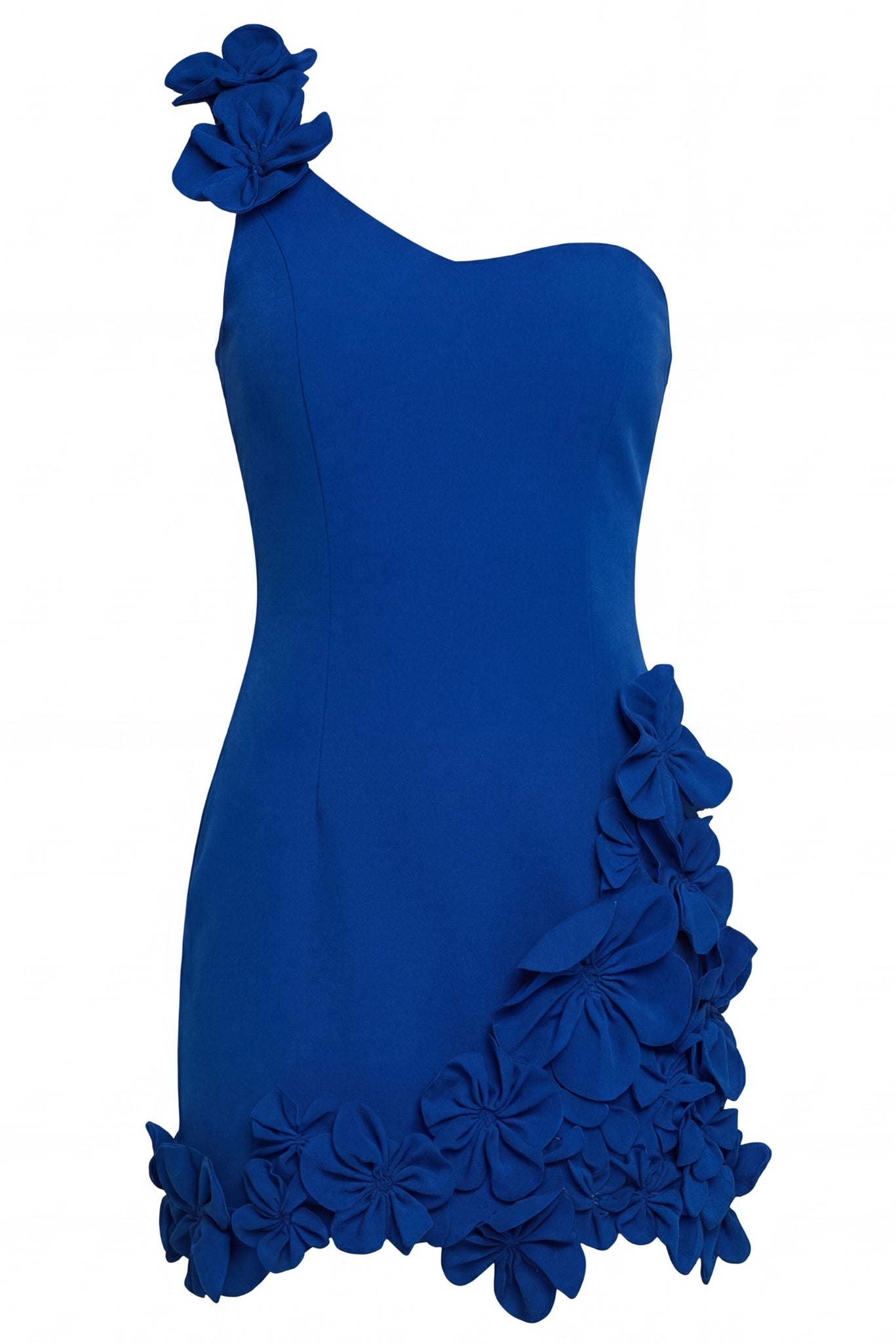 Alexa Floral Mini Dress (BLUE)