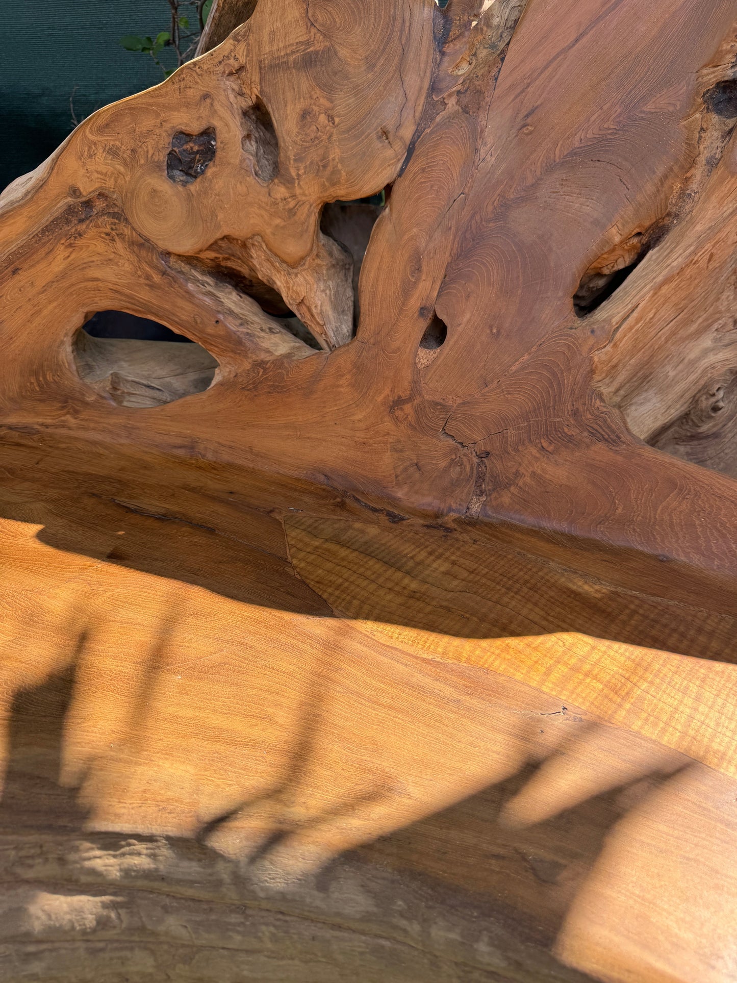 Teak Root Sofa XXL (B)