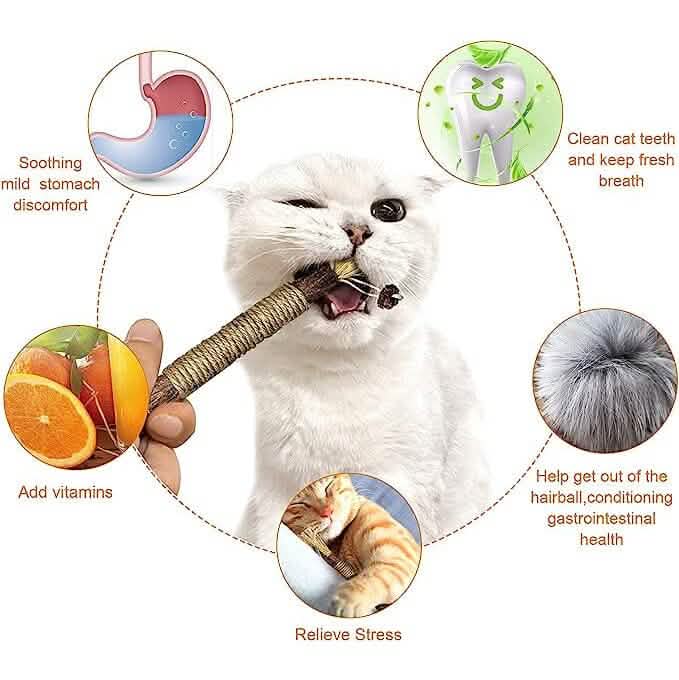 3個セット：シルバーバインスティック 猫用おもちゃ