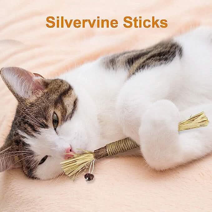 3個セット：シルバーバインスティック 猫用おもちゃ