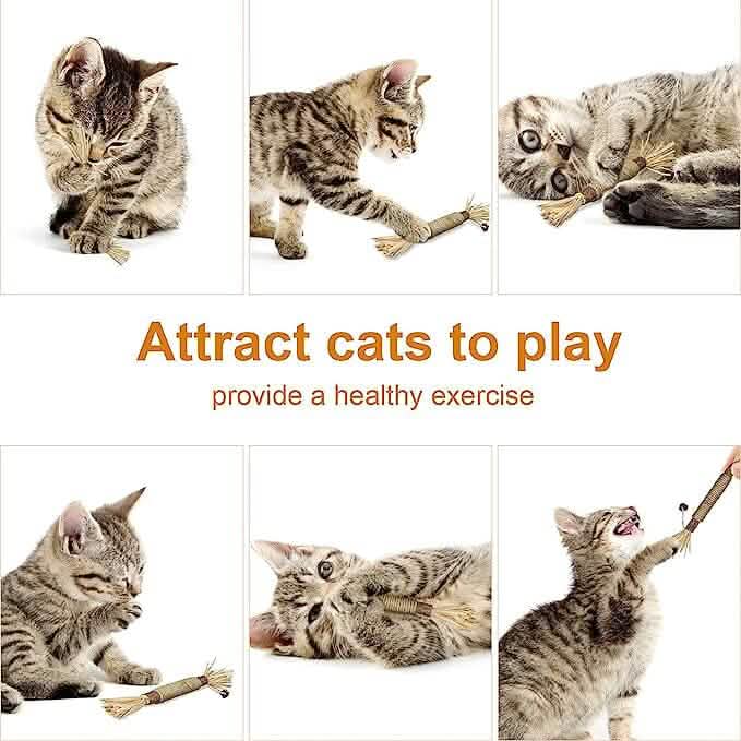 3個セット：シルバーバインスティック 猫用おもちゃ