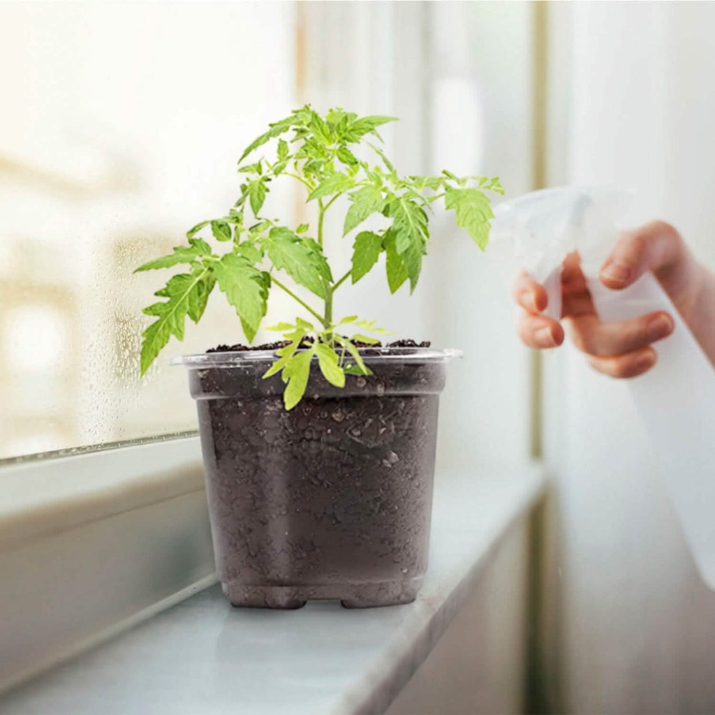 30個セット：植物育苗ポットPET花の種まき用ポットドーム排水穴付き