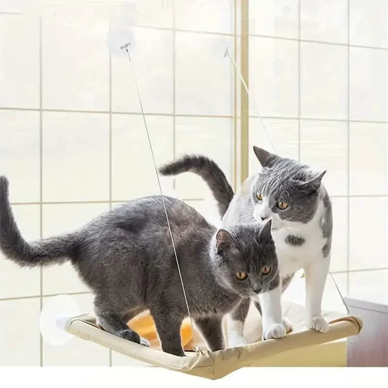 Hamac de fenêtre 360° pour chat : un perchoir ensoleillé et peu encombrant pour chats d'intérieur !