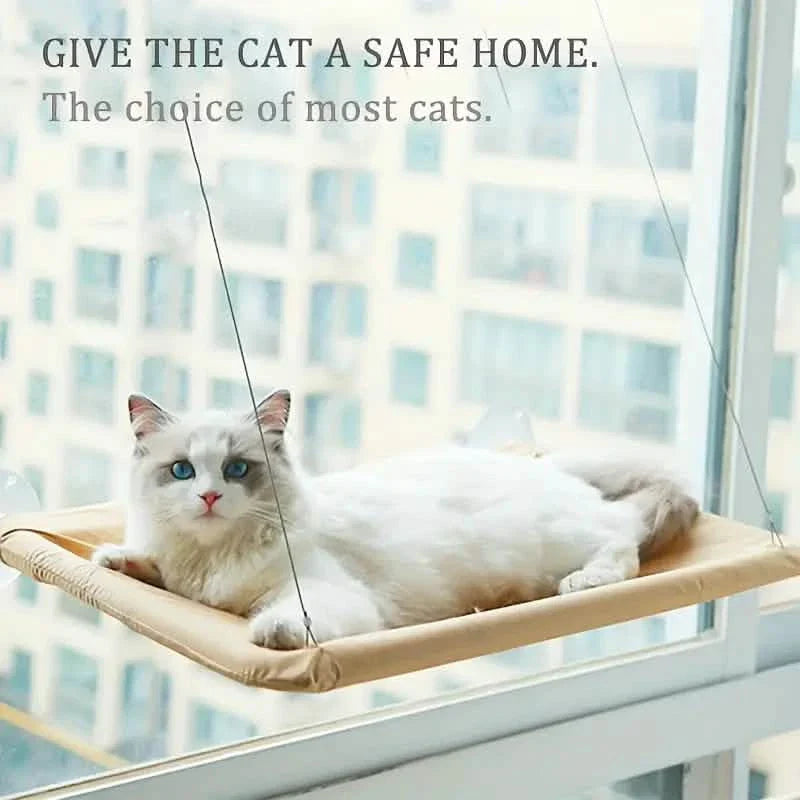 Hamac de fenêtre 360° pour chat : un perchoir ensoleillé et peu encombrant pour chats d'intérieur !