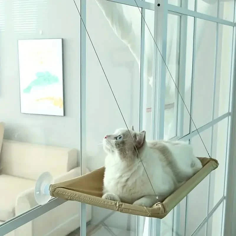 Hamac de fenêtre 360° pour chat : un perchoir ensoleillé et peu encombrant pour chats d'intérieur !
