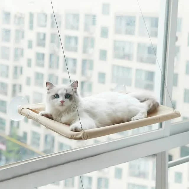 Hamac de fenêtre 360° pour chat : un perchoir ensoleillé et peu encombrant pour chats d'intérieur !