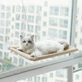 Hamac de fenêtre 360° pour chat : un perchoir ensoleillé et peu encombrant pour chats d'intérieur !