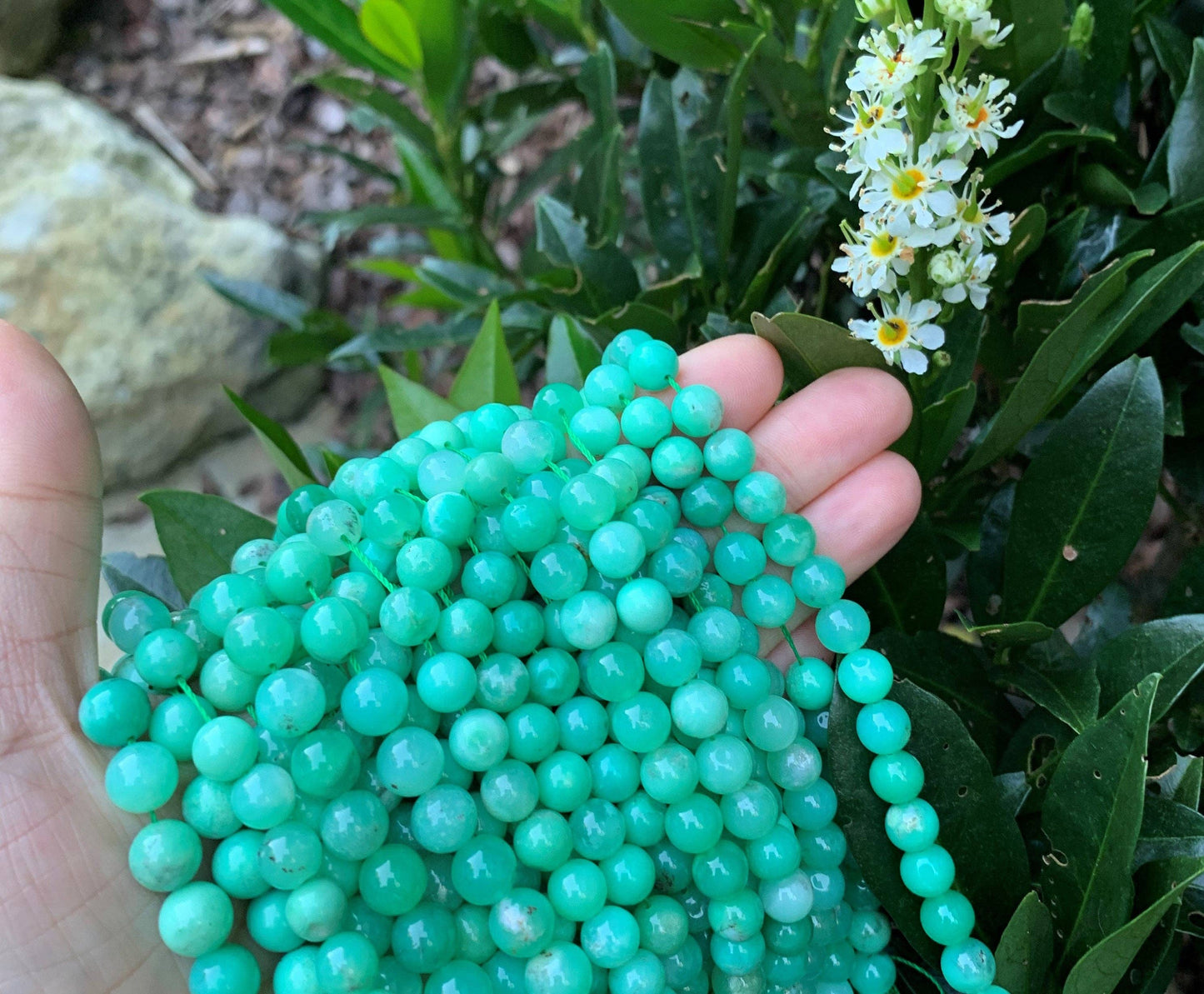 High Quality Natural Chrysoprase Beads, 6mm/8mm Round Smooth Natural Chrysoprase Beads, Green Gemstone Beads  15.5" Full Strand, Sku#R304