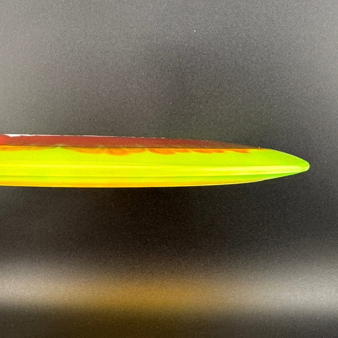 I-Dye Champion Roadrunner