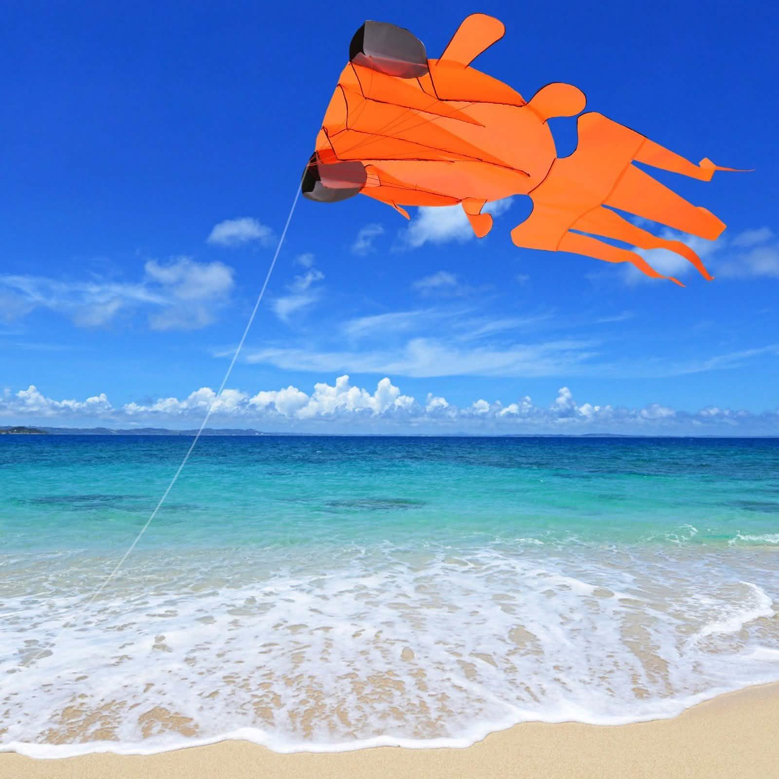3D Kite Frameless Soft Giant and Parafoil