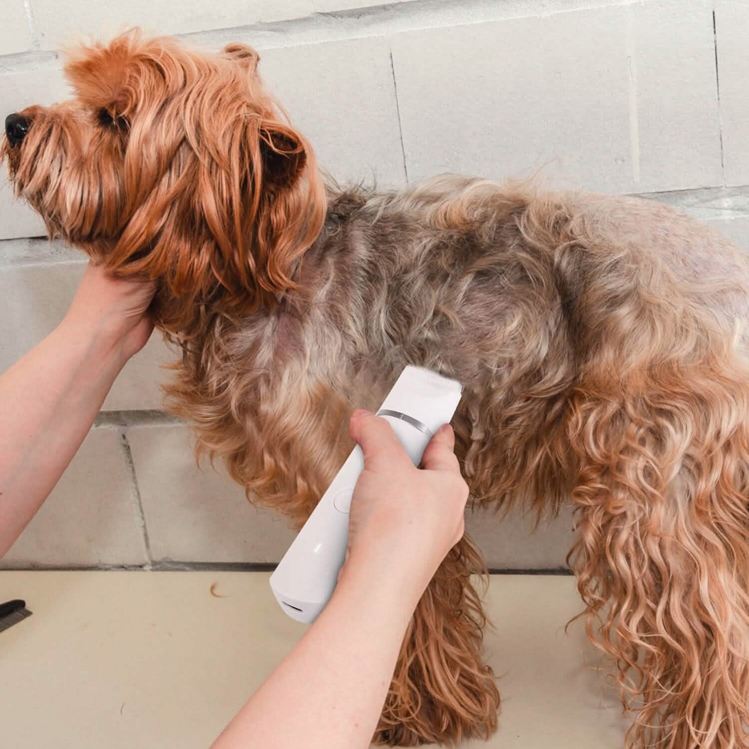 4-in-1 電動ペット用犬猫グルーミングキット コードレス充電式