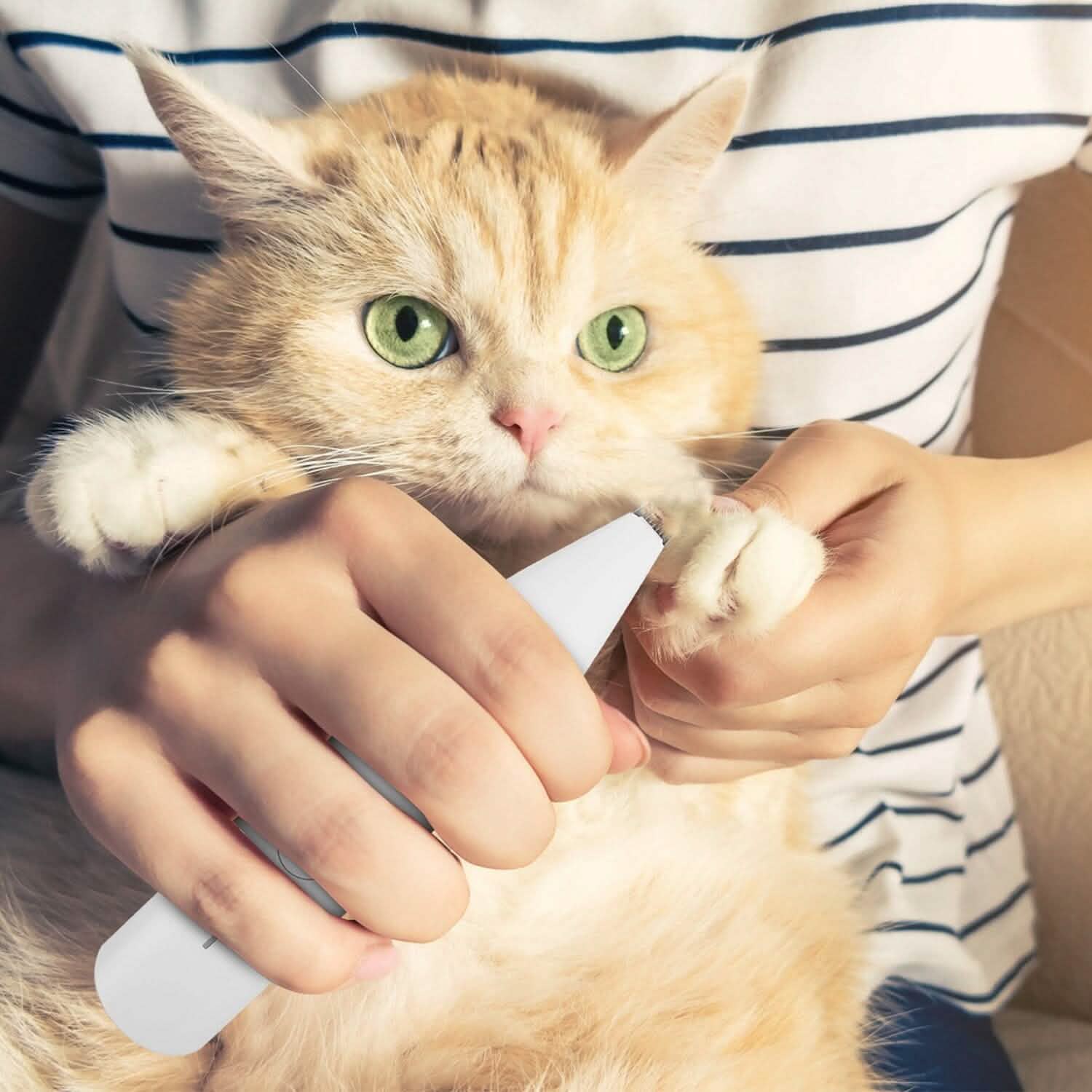 4-in-1 電動ペット用犬猫グルーミングキット コードレス充電式