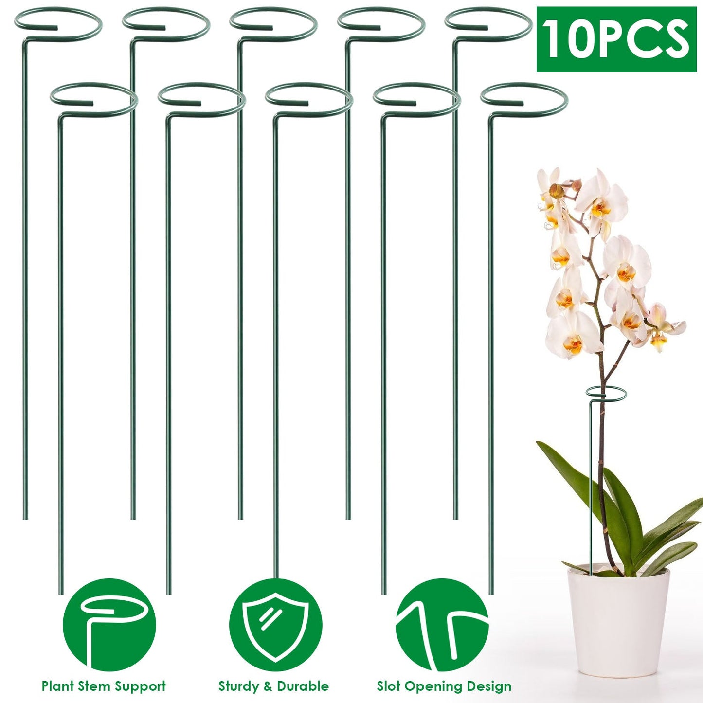Garden Plant Support Stakes for Single Stem