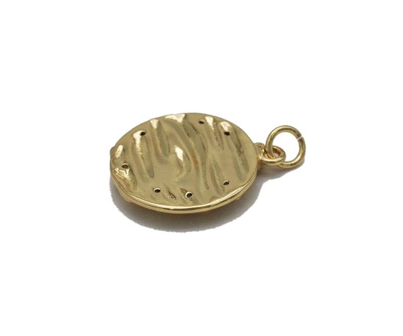 Gold CZ Snake Star Hammered Coin Charm, Sku#LX88