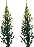 Evergreen (Variegated) Tree - 3 - 12 Count or 144 Count
