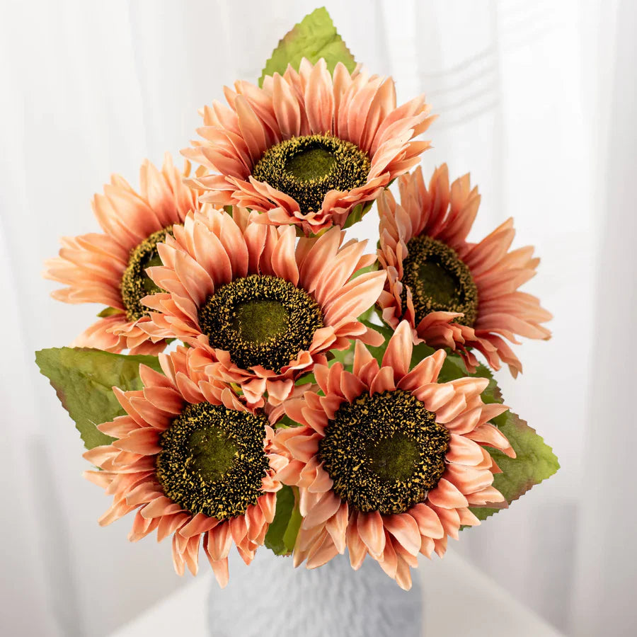 Graines de tournesol Peach Blush – Fleurs douces aux tons chauds pour jardins et bouquets