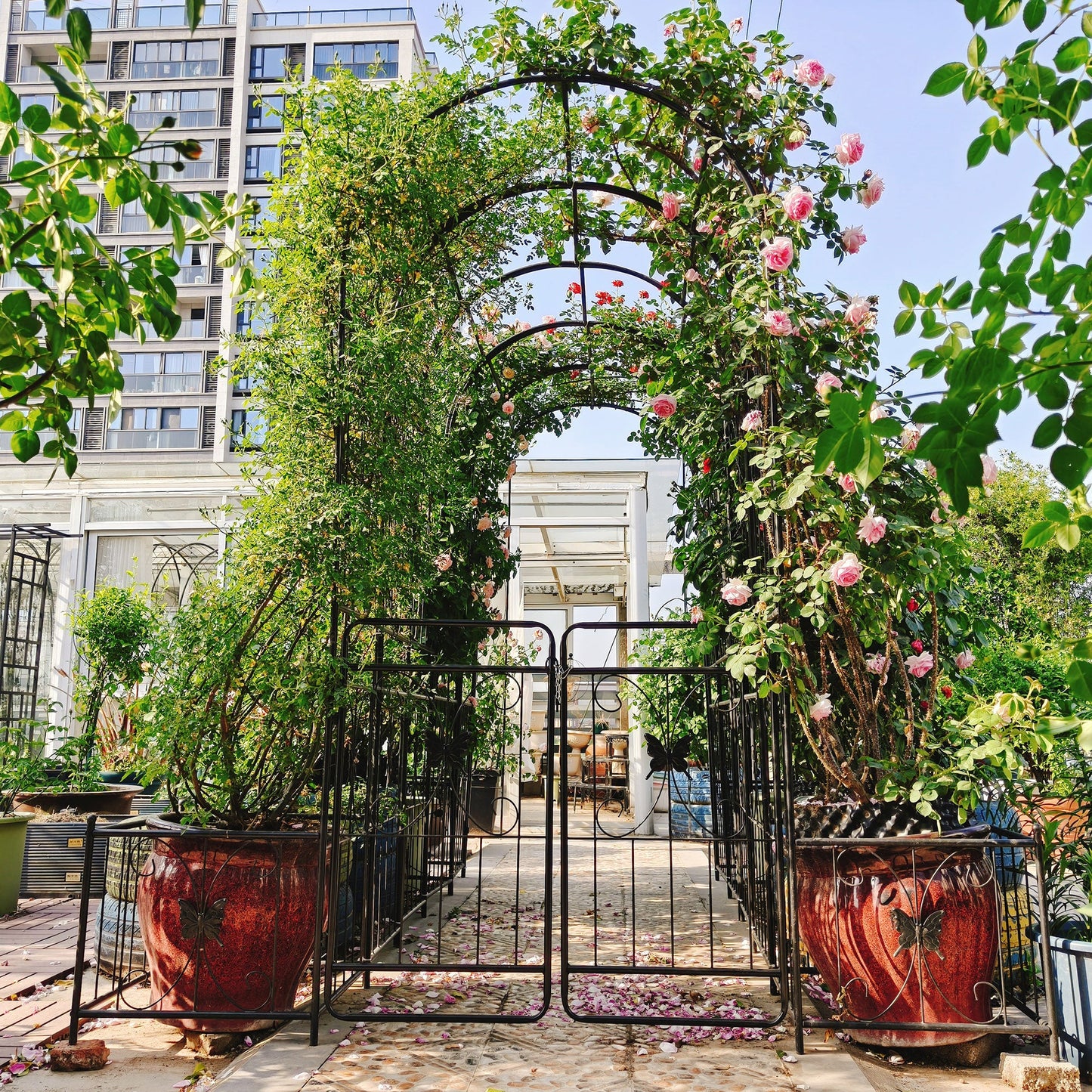 Metal Garden Arch with Gate