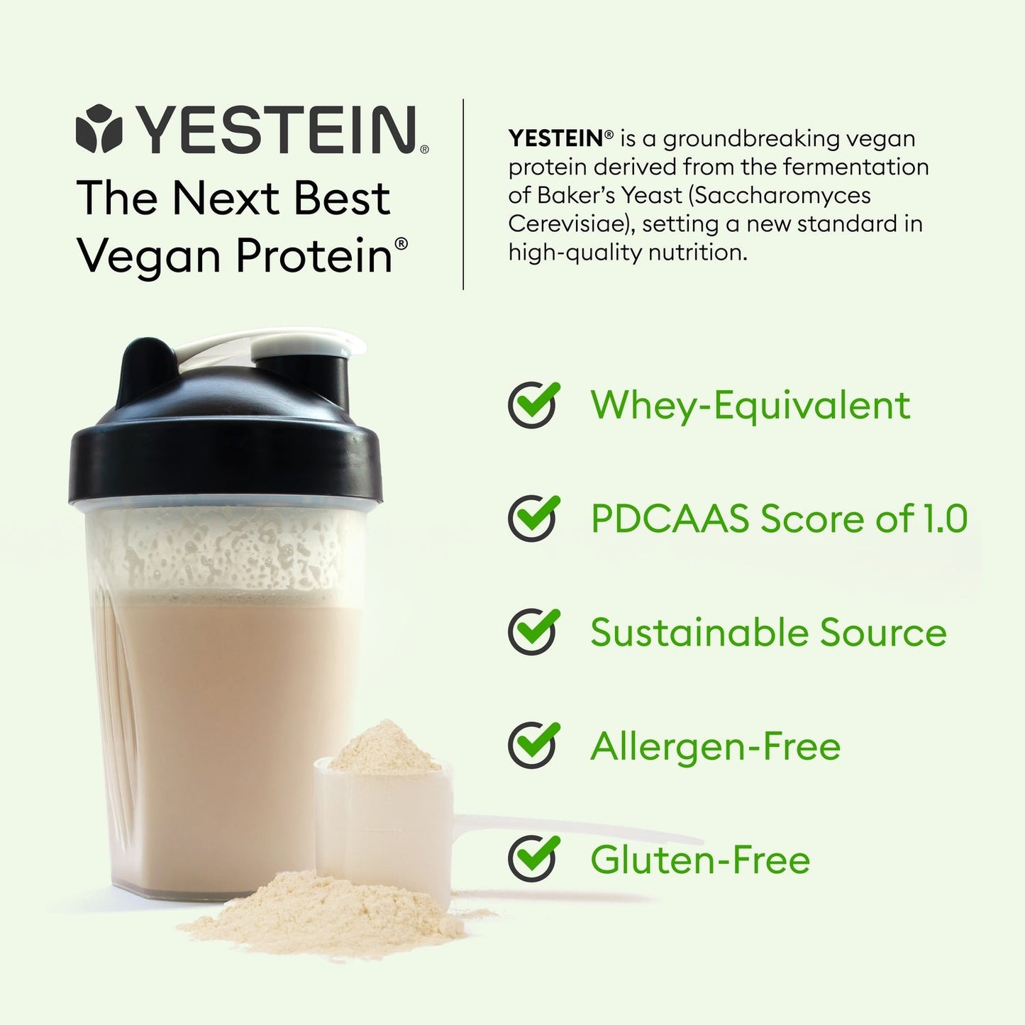 Full Potential Vegan Protein - Chocolate