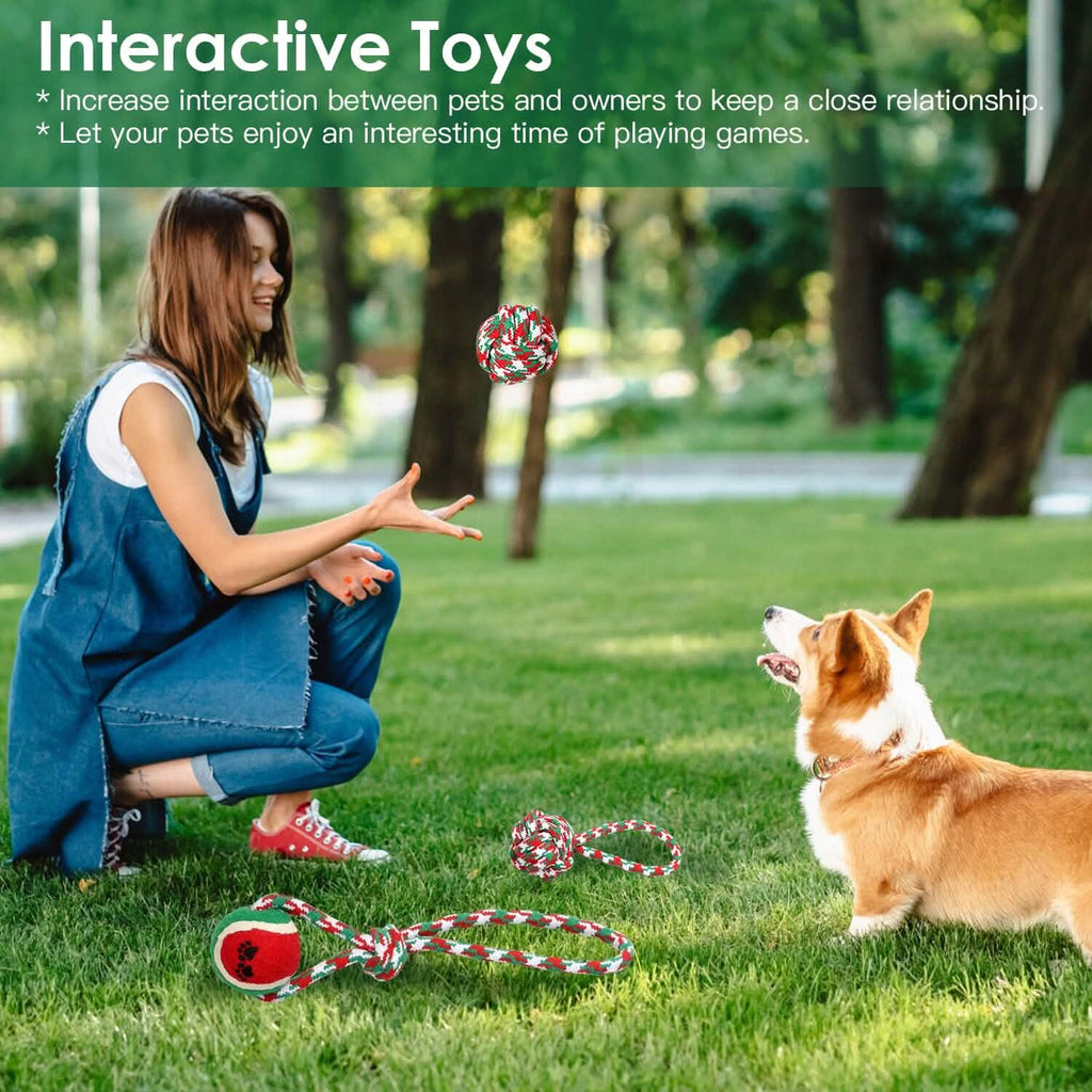 Lot de 5 jouets à mâcher en corde pour chien sur le thème de Noël