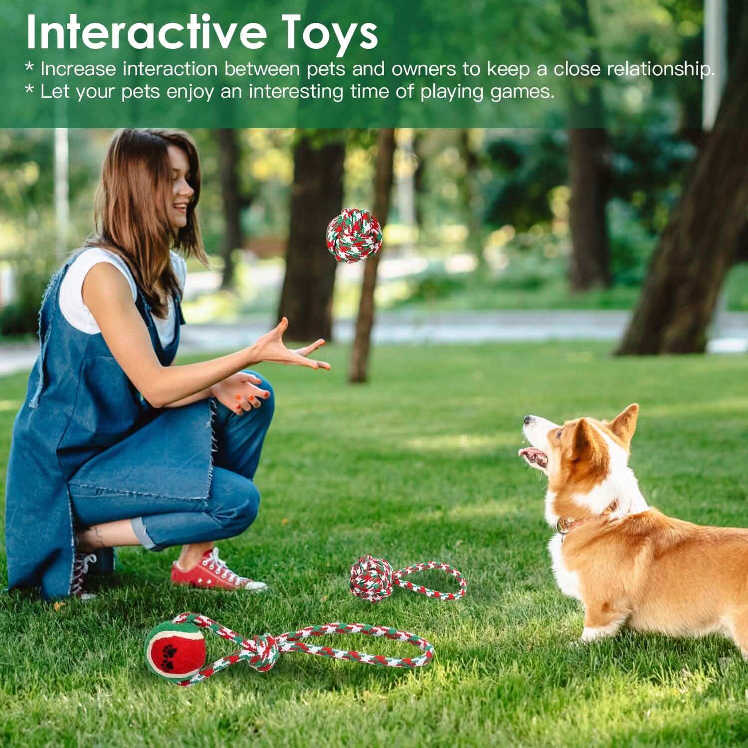 Lot de 5 jouets à mâcher en corde pour chien sur le thème de Noël