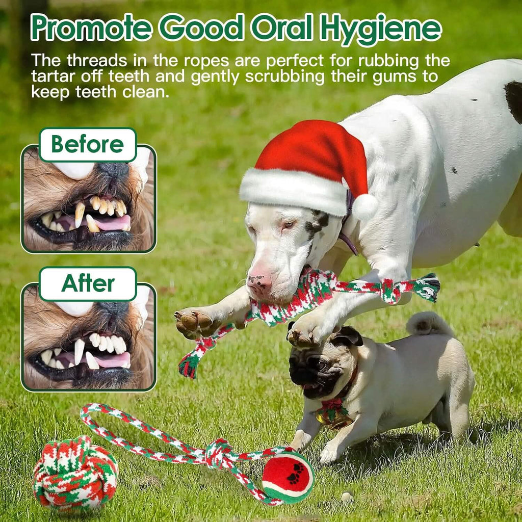 Lot de 5 jouets à mâcher en corde pour chien sur le thème de Noël