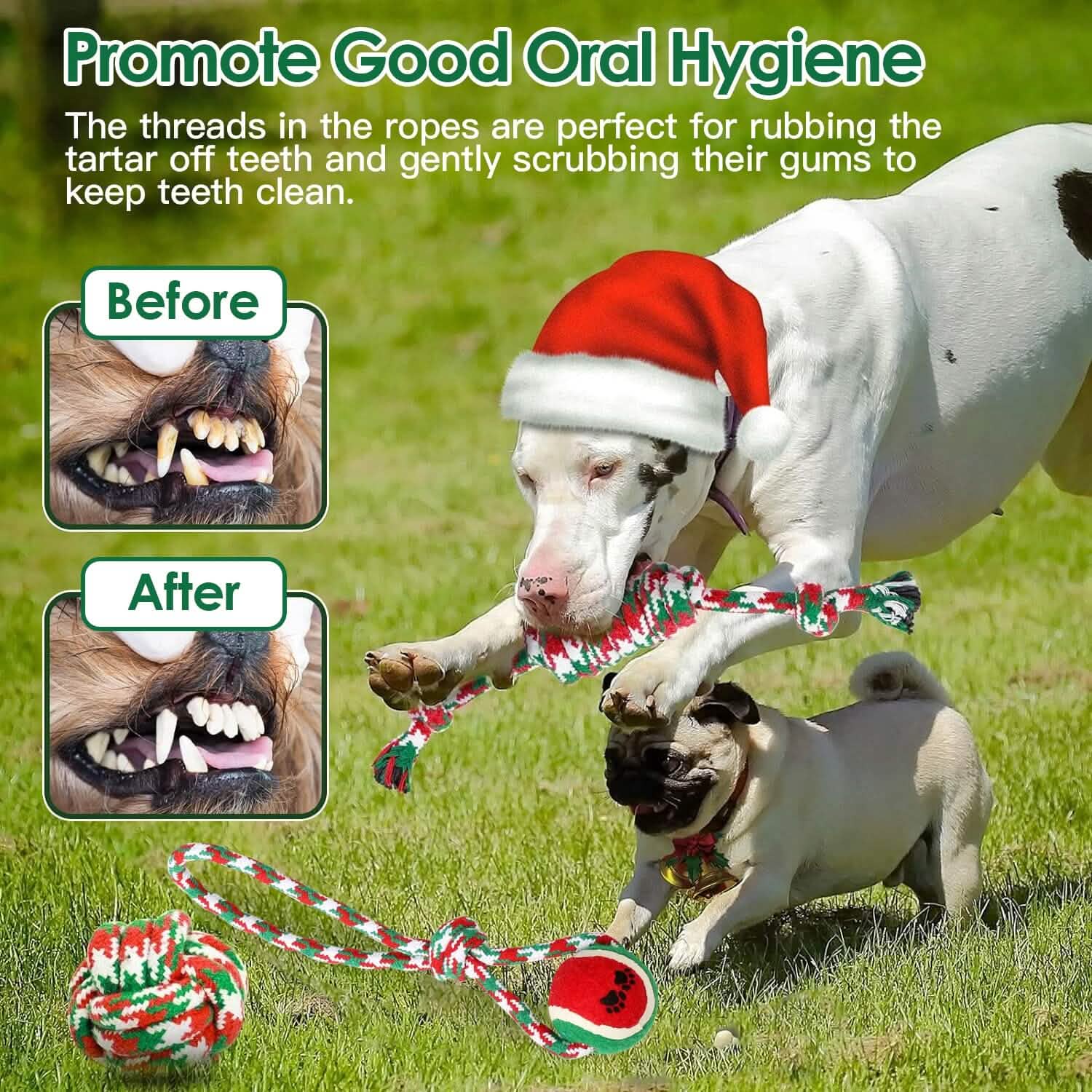 Lot de 5 jouets à mâcher en corde pour chien sur le thème de Noël