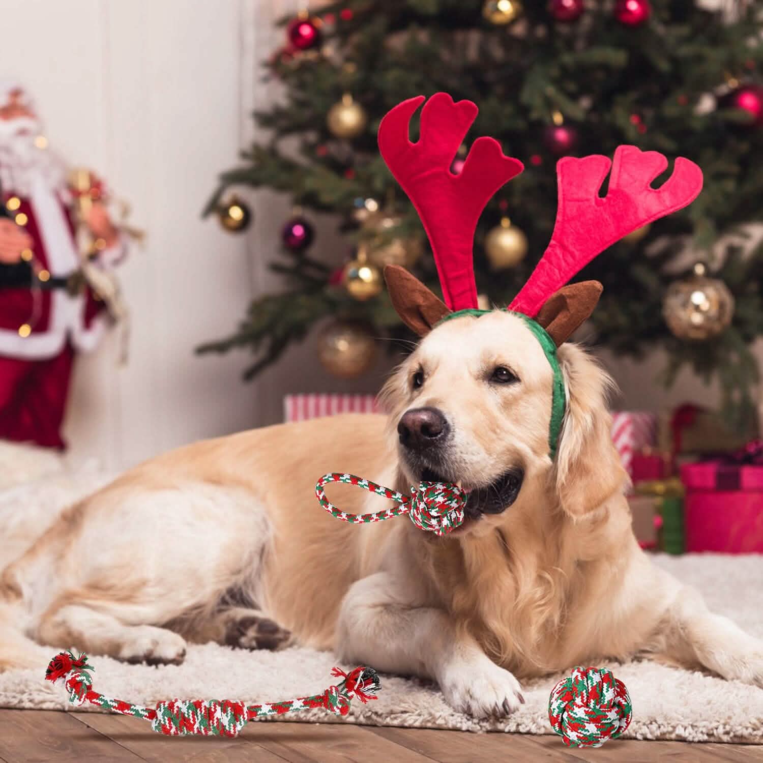 Lot de 5 jouets à mâcher en corde pour chien sur le thème de Noël