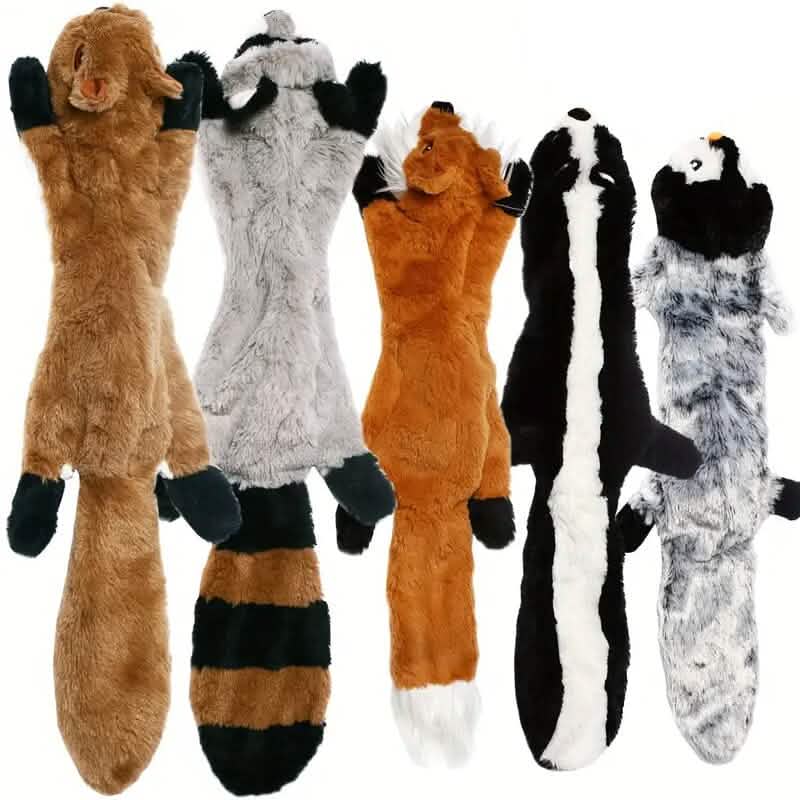 Lot de 5 jouets pour animaux de compagnie