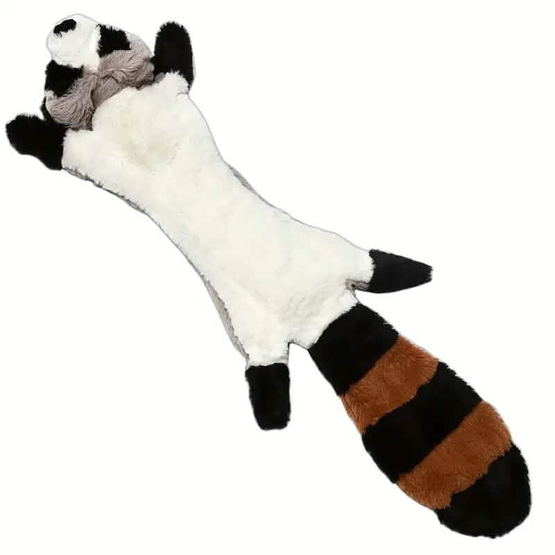 Lot de 5 jouets pour animaux de compagnie