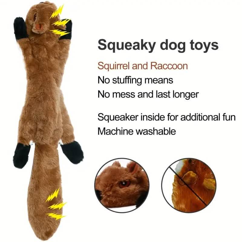 Lot de 5 jouets pour animaux de compagnie