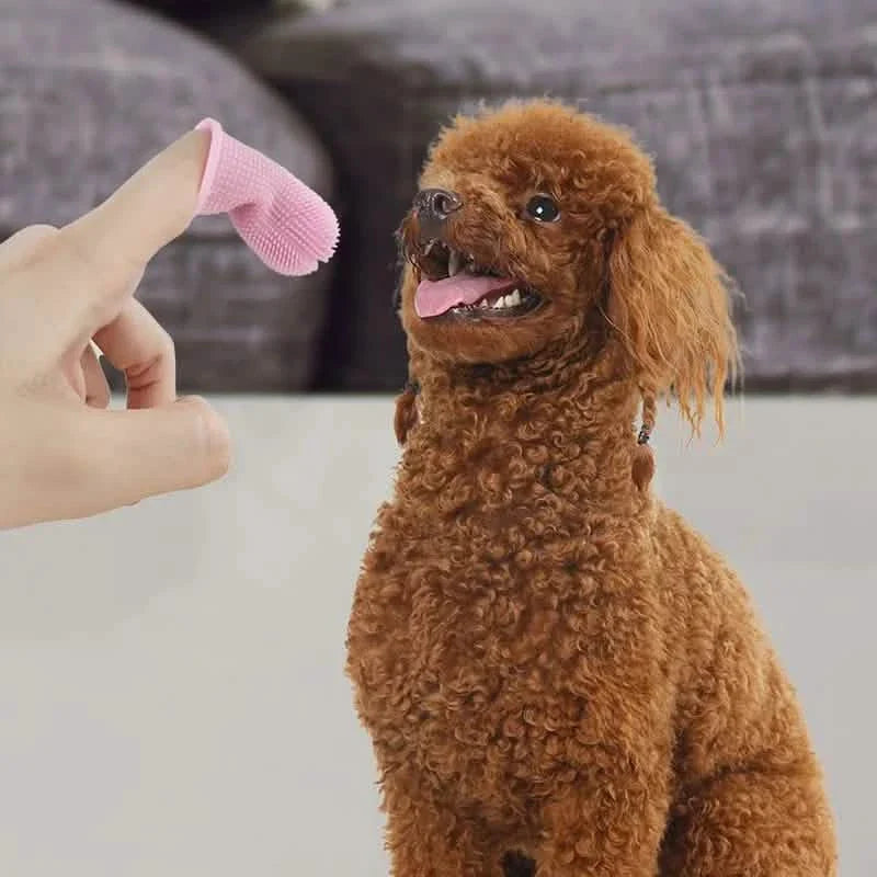 Lot de 5 : Brosse à dents à doigt super douce en silicone pour animaux de compagnie