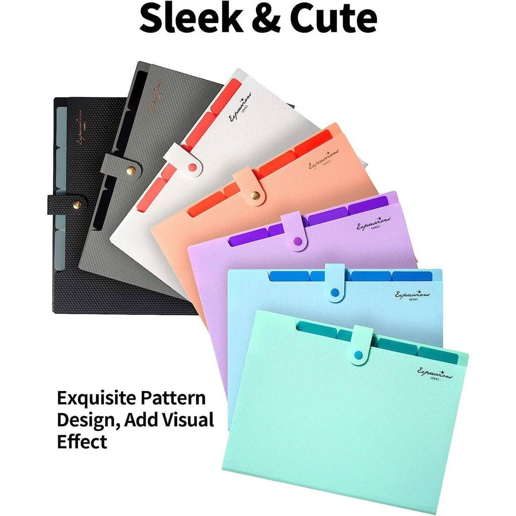 Chemise à 5 compartiments avec étiquettes, organisateur de documents extensible format Lettre