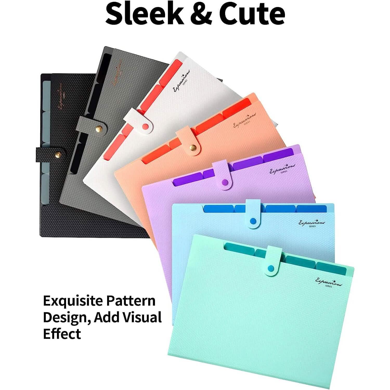 Chemise à 5 compartiments avec étiquettes, organisateur de documents extensible format Lettre