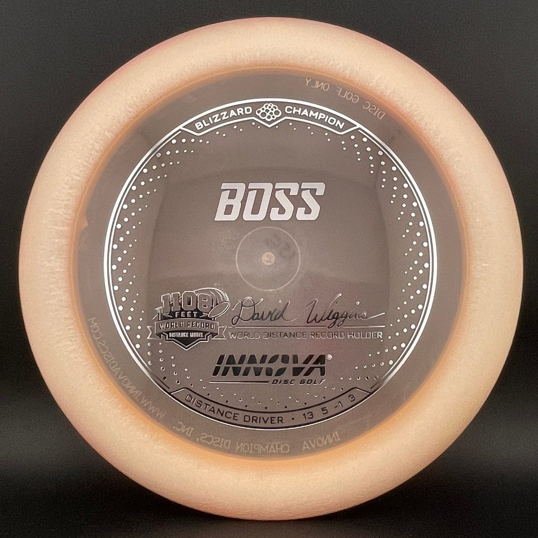 Blizzard Champion Boss - David Wiggins Jr 1108 World Record