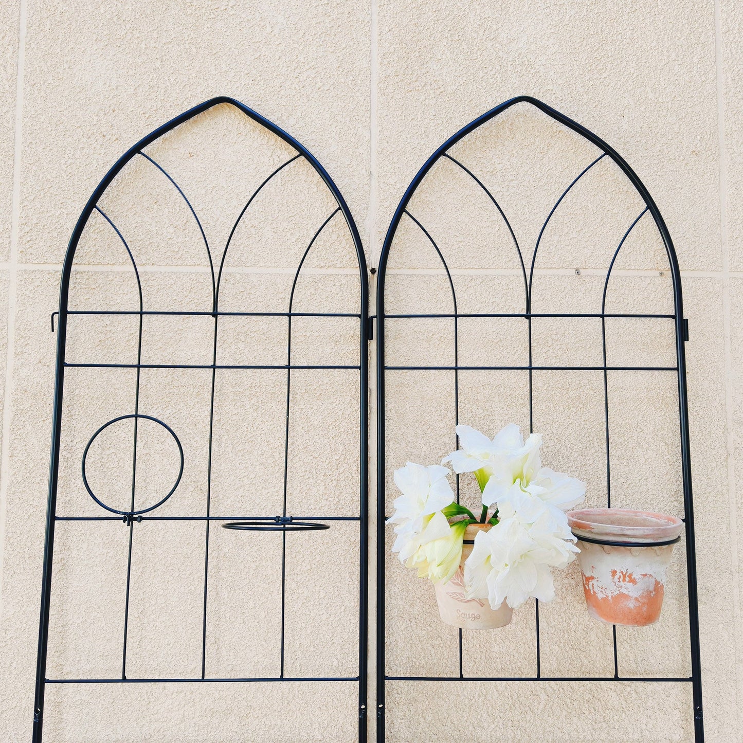 2 Pack Metal Garden Trellis