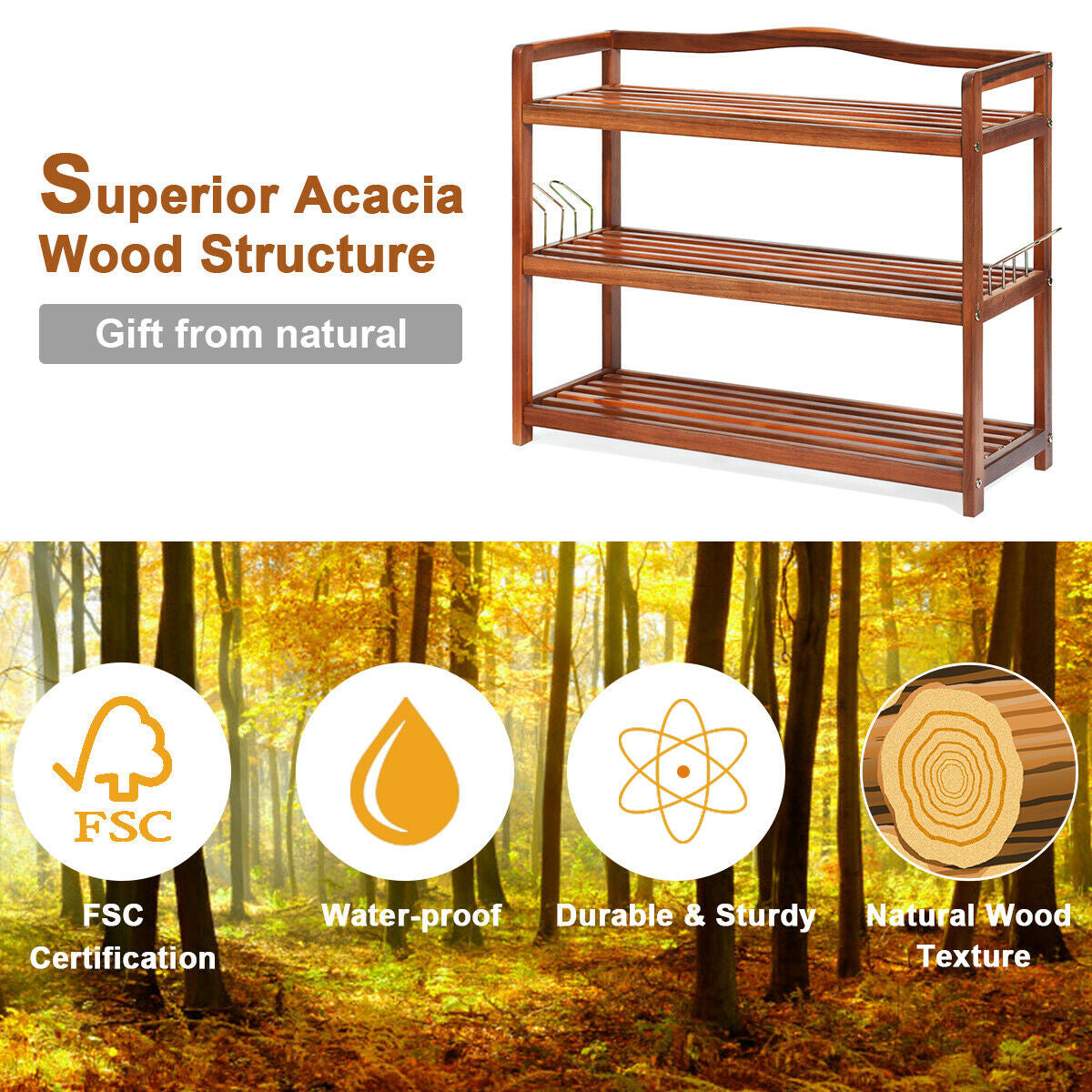 2-Tier Acacia Wood Shoe Rack with 4 Side Metal Hooks