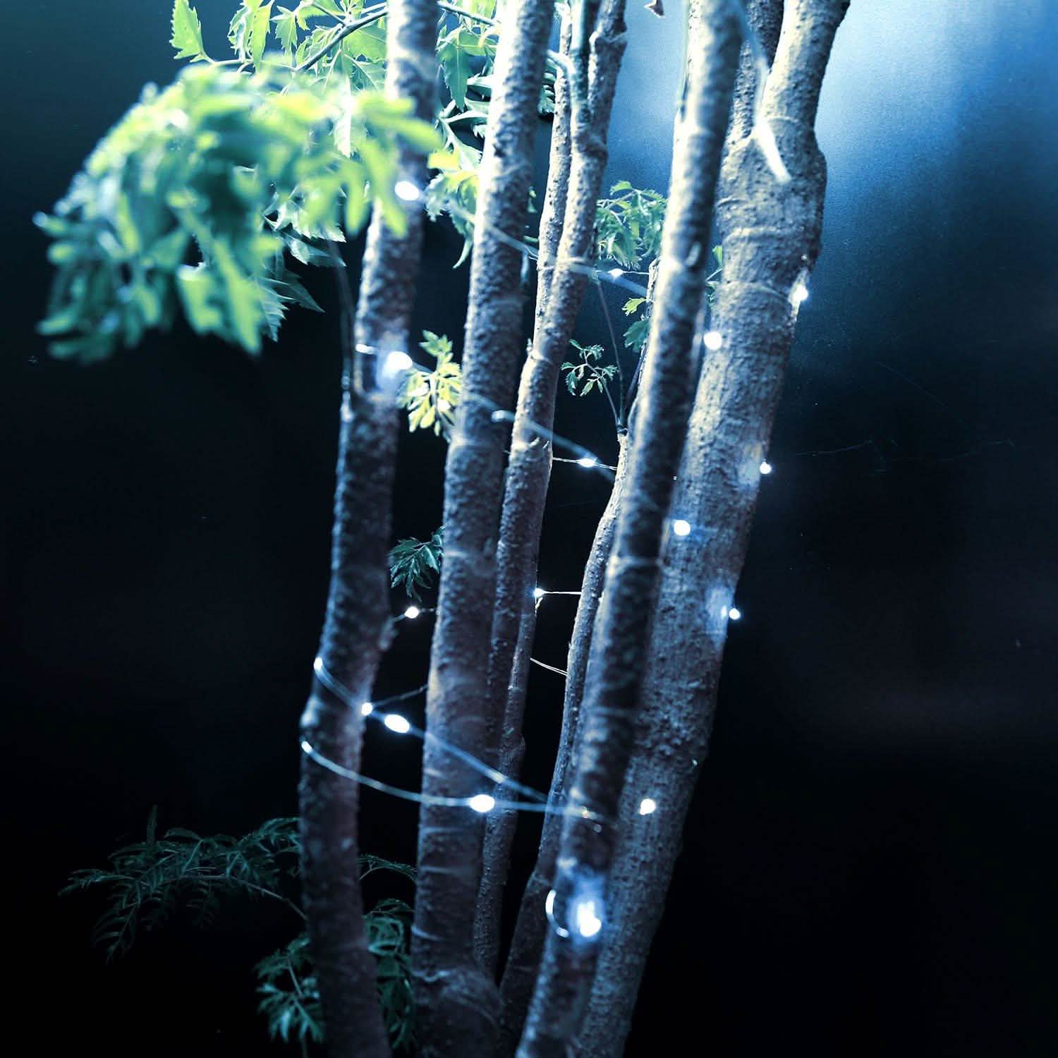 6-Pack: LED String Lights