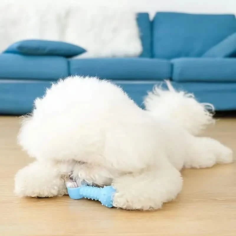 6個セット：子犬用歯固めおもちゃ インタラクティブロープ付き