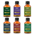 6-Piece: Aromatherapy Therapeutic Grade Essential Oils Gift Set