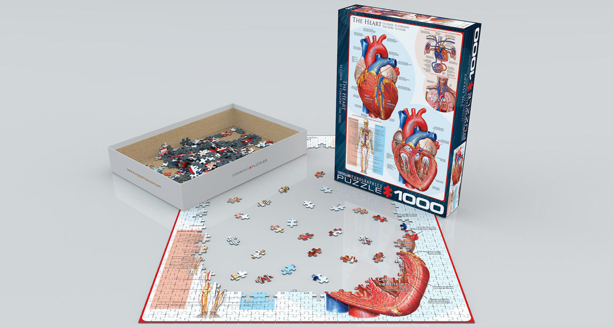 Puzzle: History & General Interest - The Heart