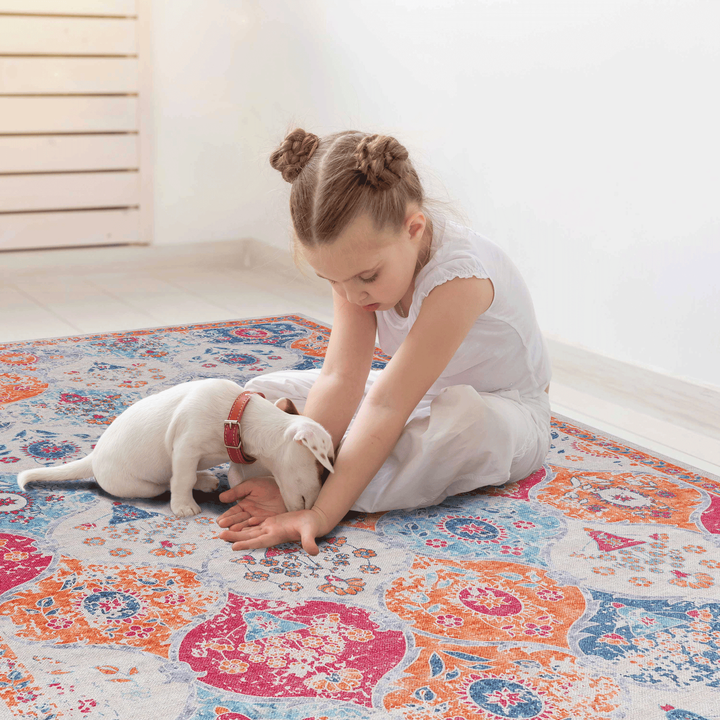 2x3 Machine Washable Area Rug
