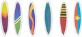 Surfboard - 12 Count