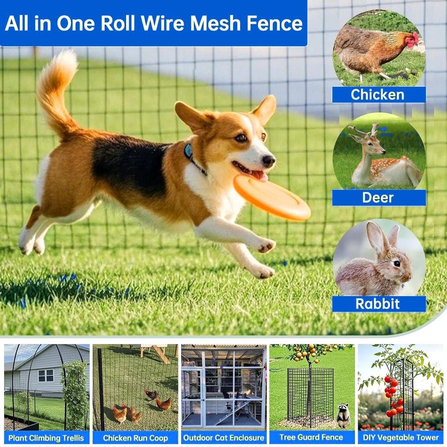 40 Inch × 99 Ft Wire Fencing