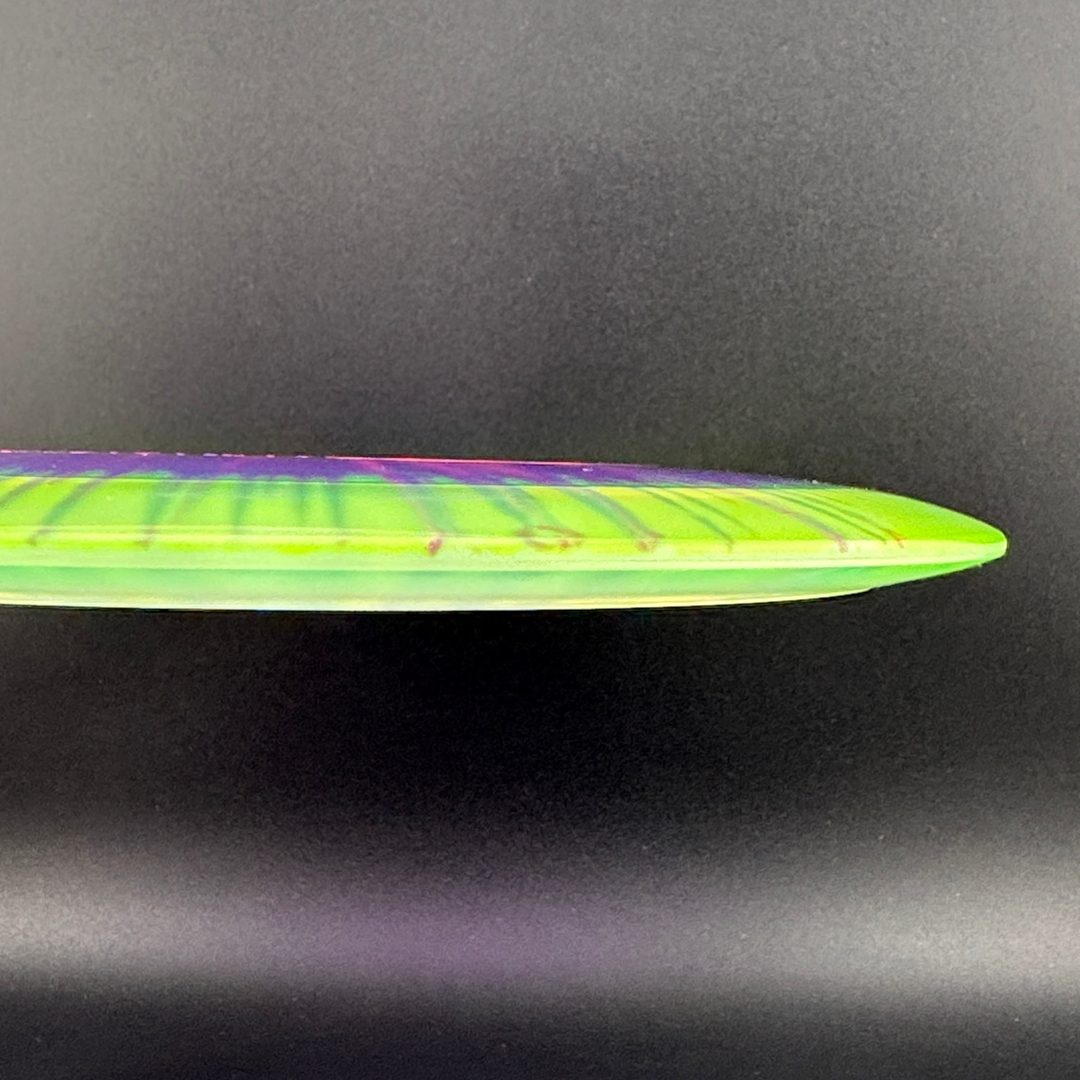 I-Dye Champion Roadrunner