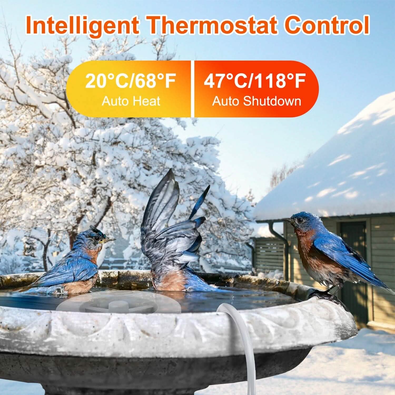 Chauffe-eau 70W en alliage d'aluminium pour bain d'oiseaux avec thermostat et arrêt automatique