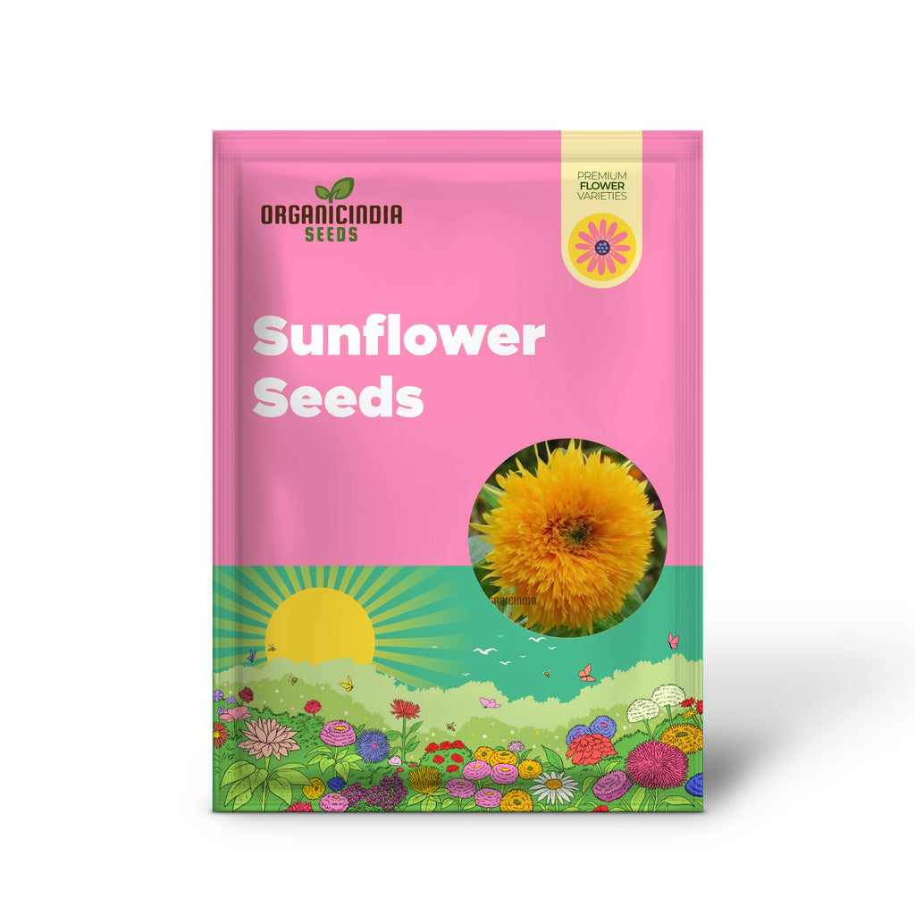 Graines de Tournesol - Soleil Orange, des Tournesols Orange Vif pour un Jardin Éclatant