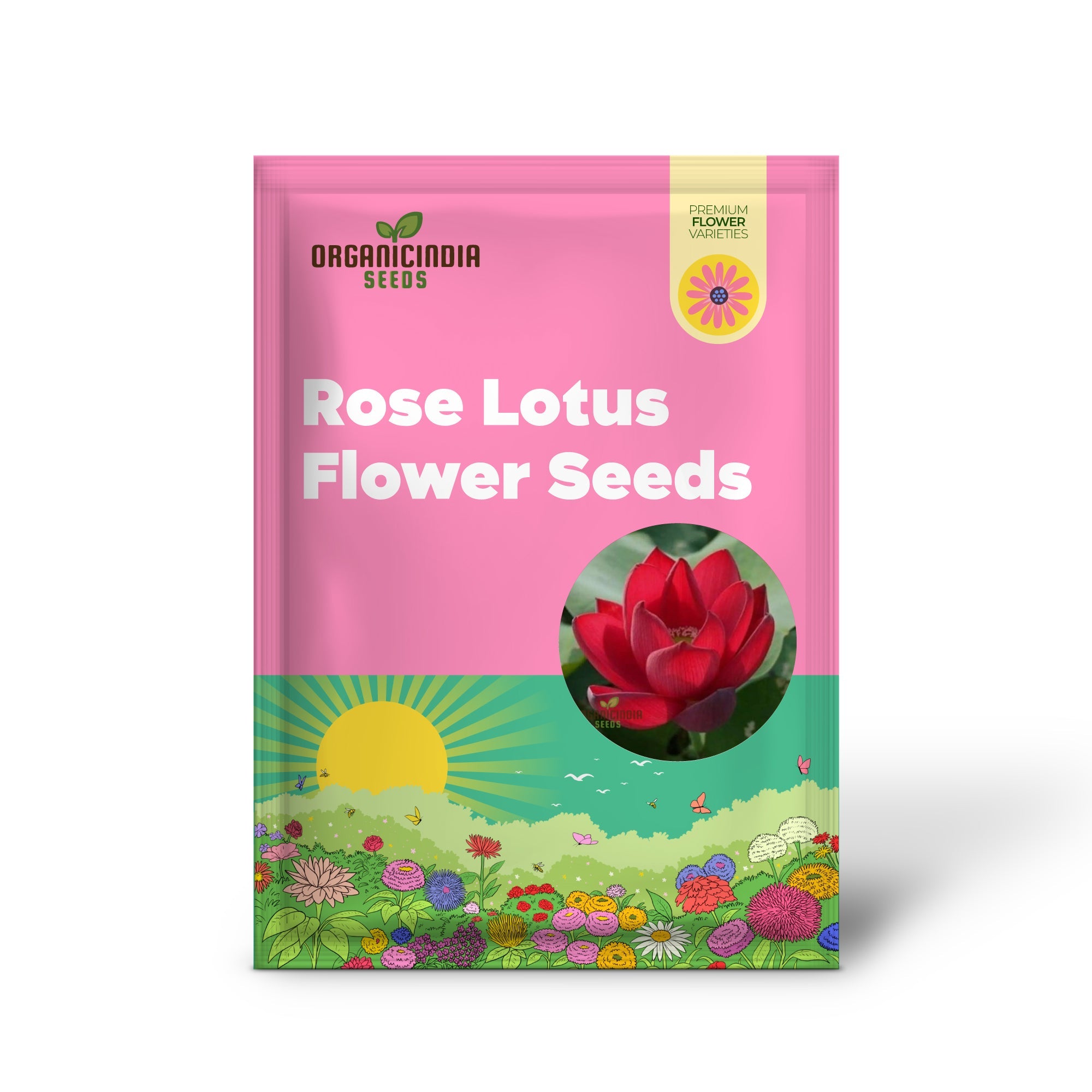 Graines de fleurs de lotus Roses rouges pour des floraisons de jardin éblouissantes
