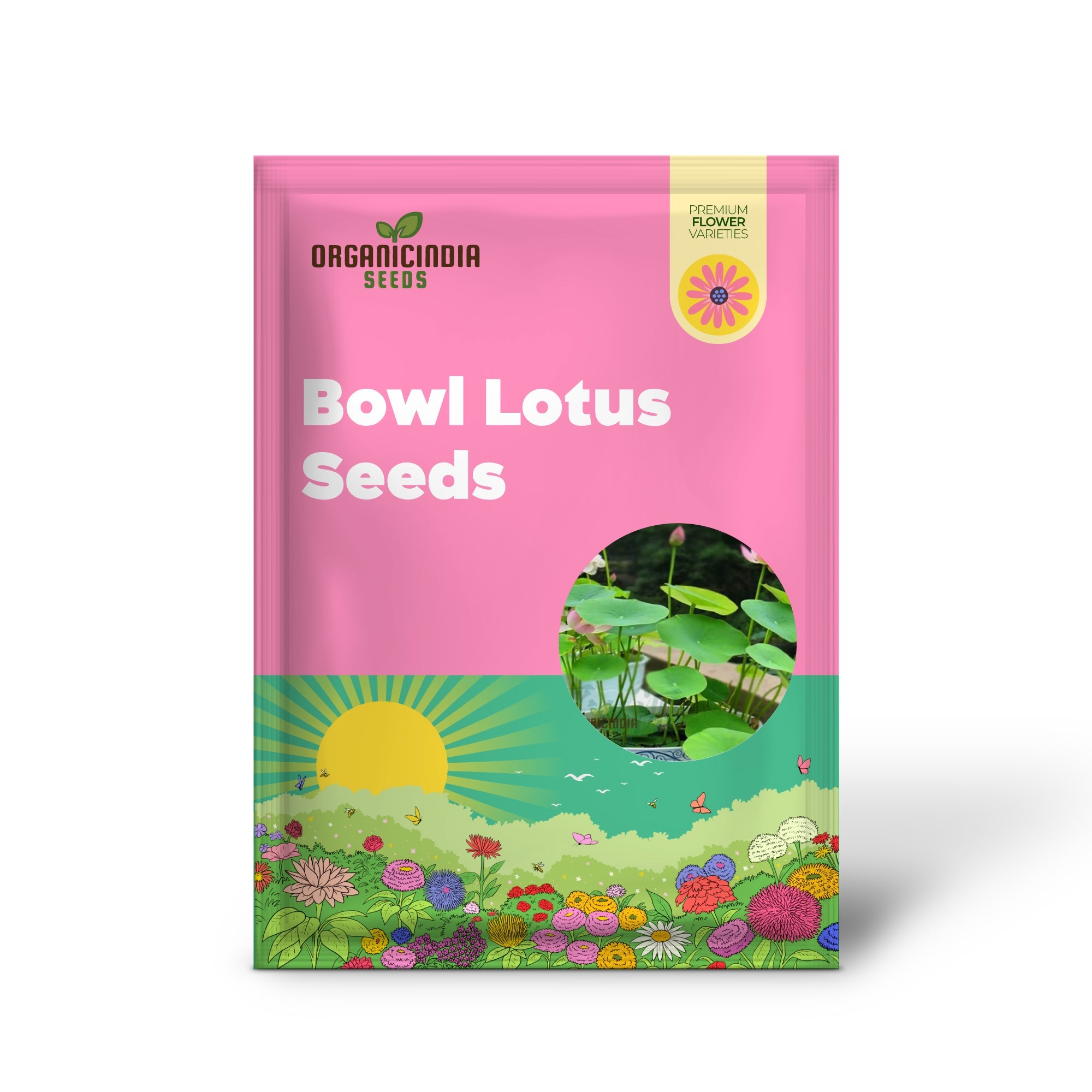 Graines de lotus mixtes pour la plantation, parfaites pour les jardins aquatiques