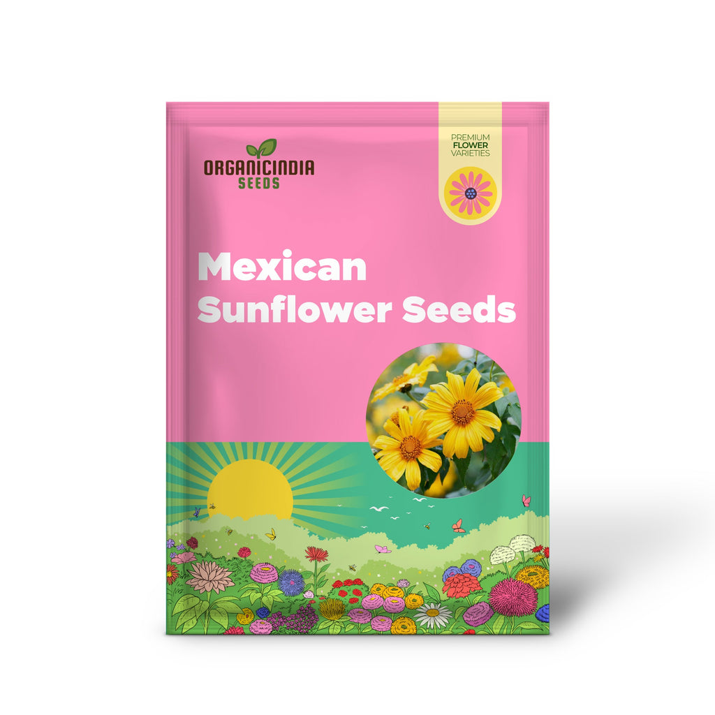 黄色のメキシカンヒマワリの種、ティトニア・ディベルシフォリア、多年生の花の種、ミツバチや蝶を引き寄せ、観賞用庭園や花壇、パティオに最適